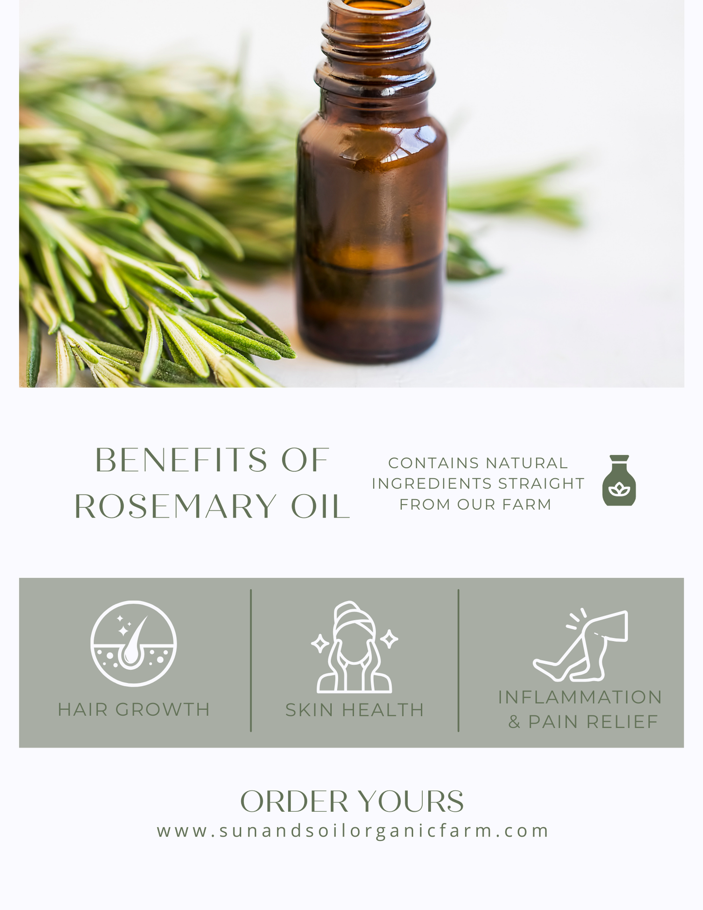 Organic Rosemary Essential Oil