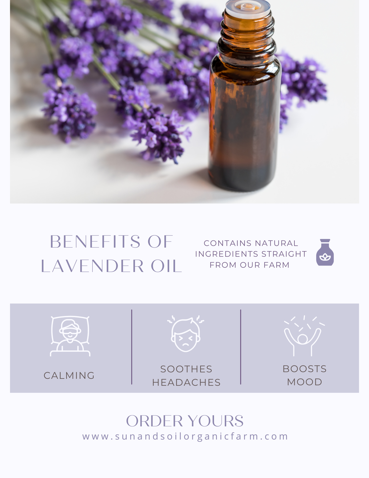 Organic Lavender Essential Oil