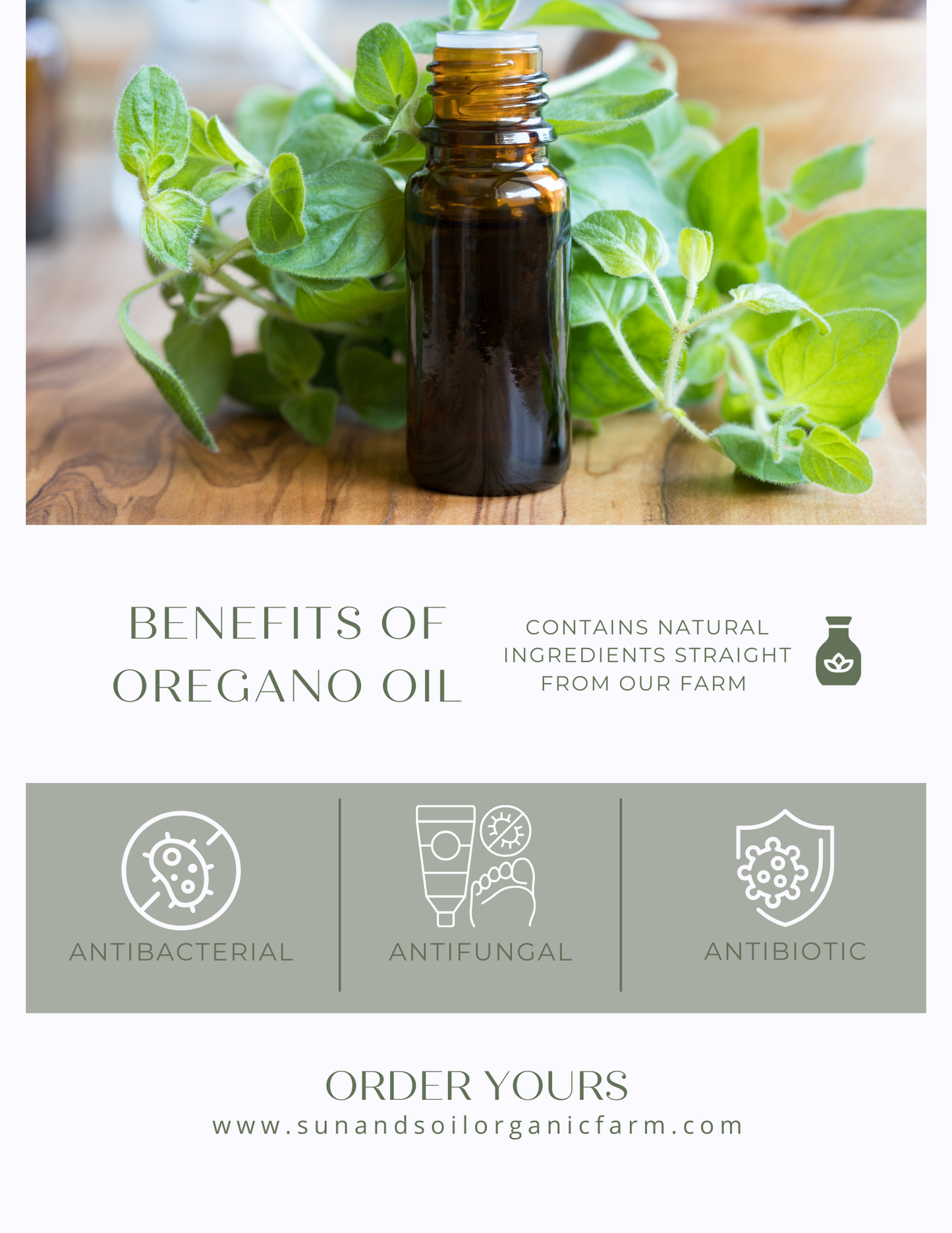 Organic Oregano Essential Oil