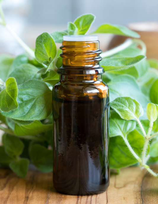 Organic Oregano Essential Oil